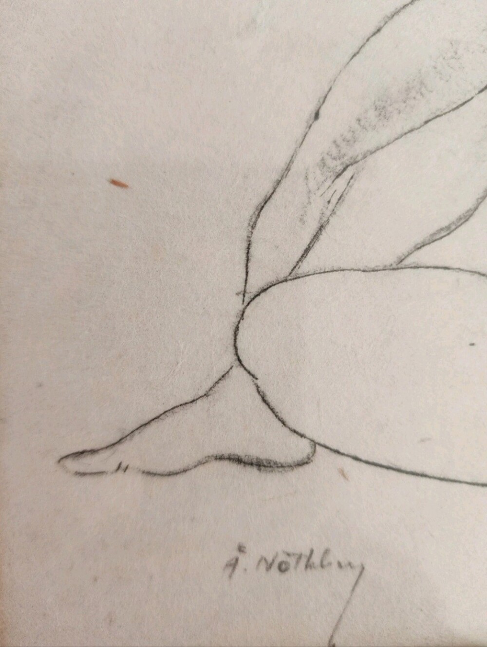 Nude Woman Sketch By Well Known Swedish Artist åke nothberg” - Picture 5 of 16